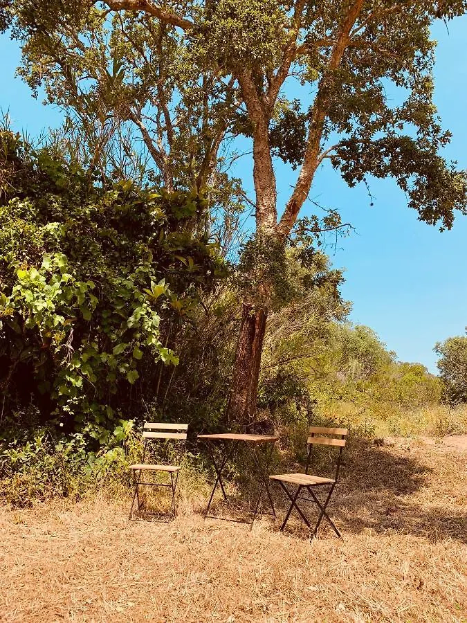 Private Eco Glamping In Aljezur Alfambras Hotel Luxury tent